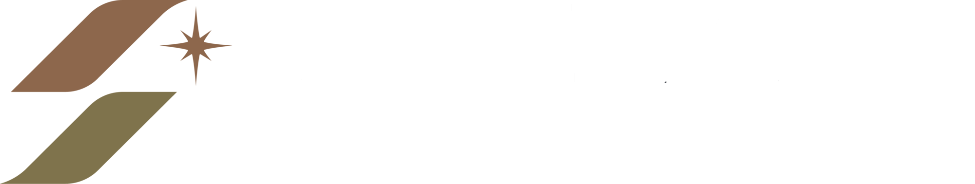 Virtual Starlux logo